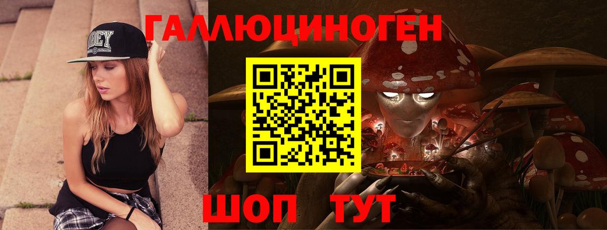 Михайловск  Псилоцибиновые грибы MAGIC MUSHROOMS  Вход с VPN  Псилоцибиновые грибы Cubensis 
