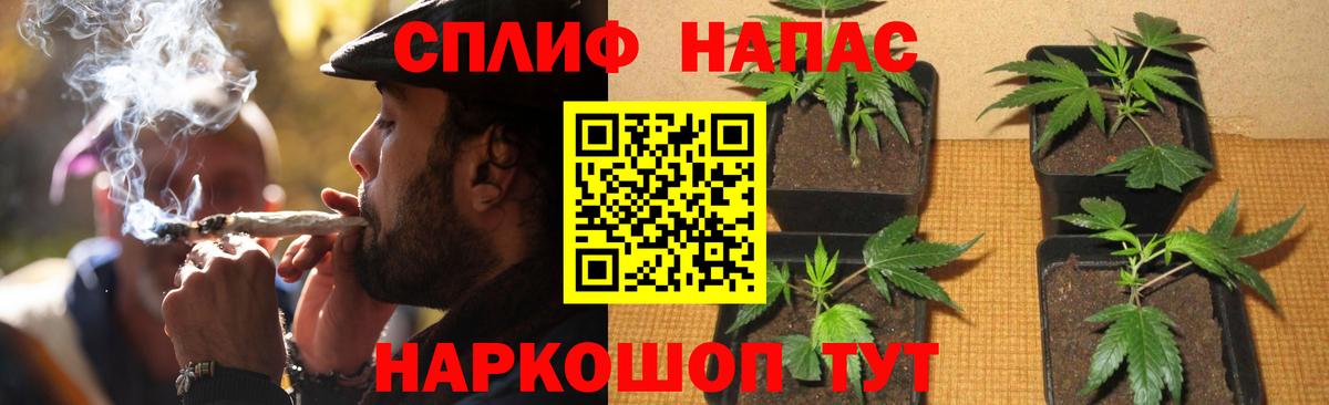 Михайловск  МАРИХУАНА Amnesia  Конопля ГИДРОПОН  Шишки марихуана гибрид  Вход с VPN 